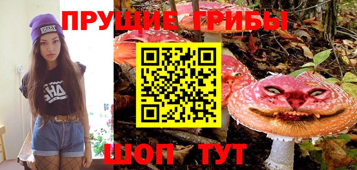 Галлюциногенные грибы прущие грибы Котовск